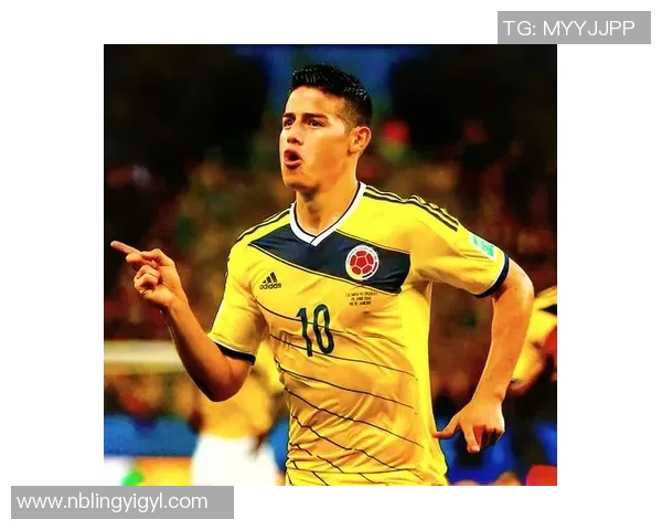 足球明星罗尼的辉煌荣誉与传奇生涯回顾